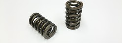 AJP V8 VALVE SPRING