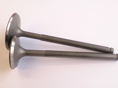 Exhaust Valve AJP