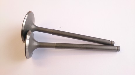Exhaust Valve AJP