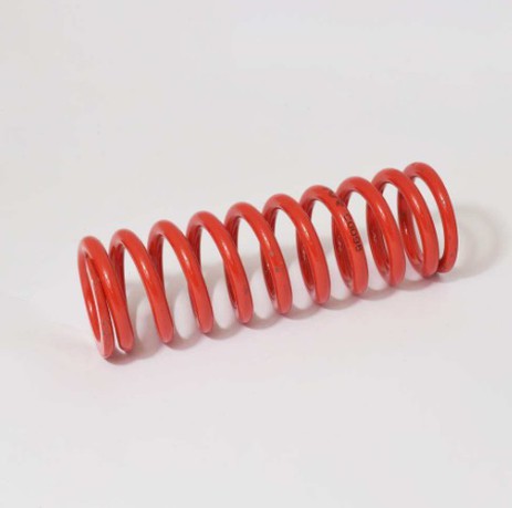 SAGARIS REAR SPRING